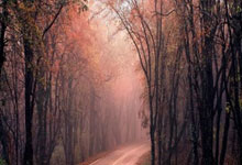 詹姆斯逆转时刻砍下45分带队晋级