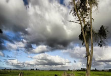 比利时队在欧洲杯预选赛中连败，备战工作亟待加强