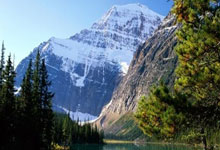 雄鹿客场横扫老鹰，东部决赛再次领先