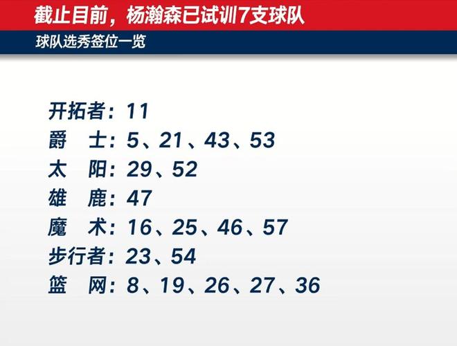 关于杨瀚森选秀行情终极预测试训11队中哪家最靠谱？的信息